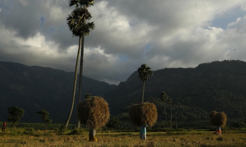 Vadavannur .,Palakkad,kerala,India | Gods Own Country | Gopan Mukkulath |  Flickr